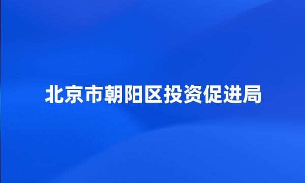 北京市朝阳区投资促进局