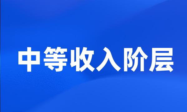 中等收入阶层