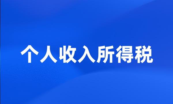 个人收入所得税