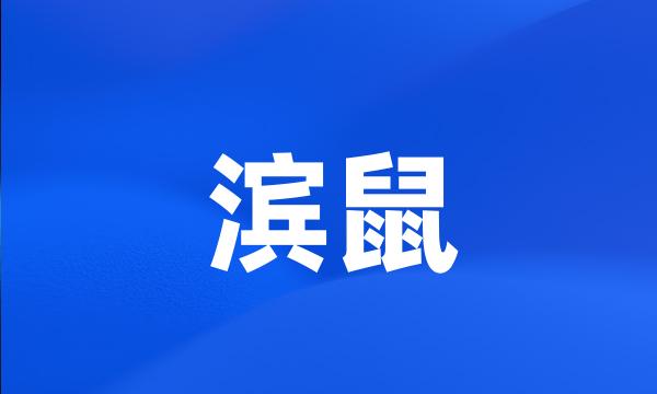 滨鼠