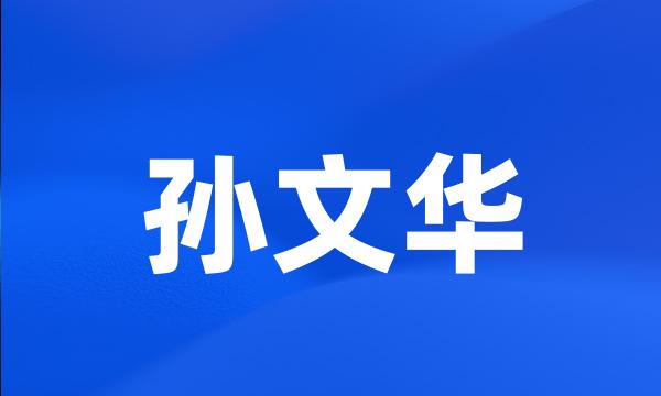 孙文华