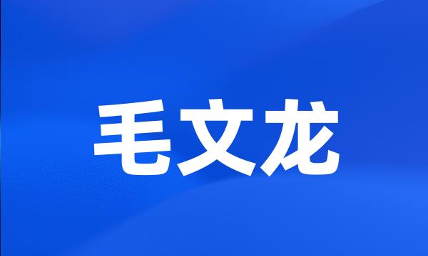 毛文龙