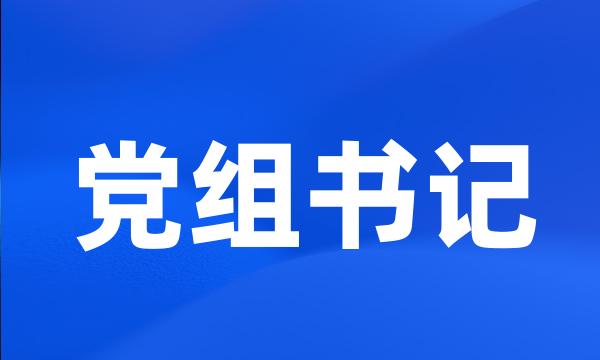 党组书记