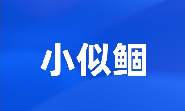 小似鲴