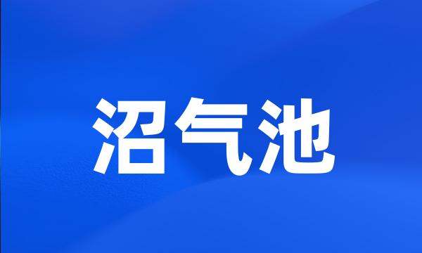 沼气池