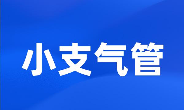 小支气管