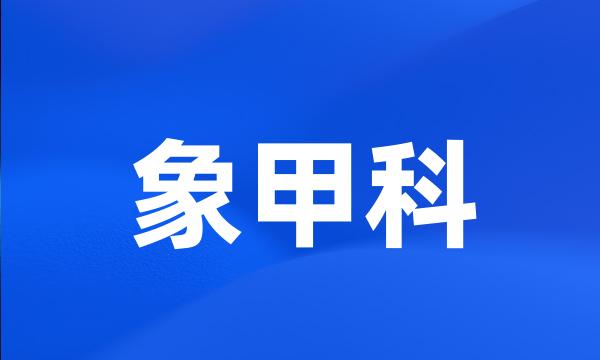 象甲科