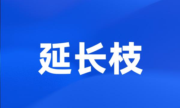 延长枝