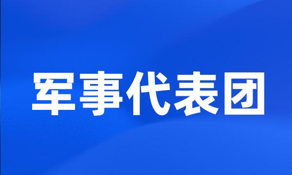 军事代表团