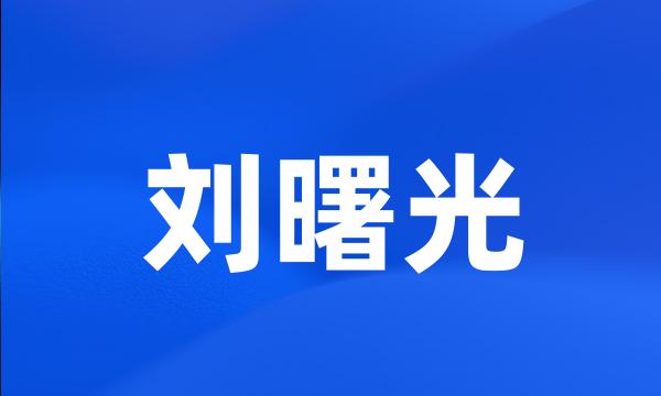 刘曙光