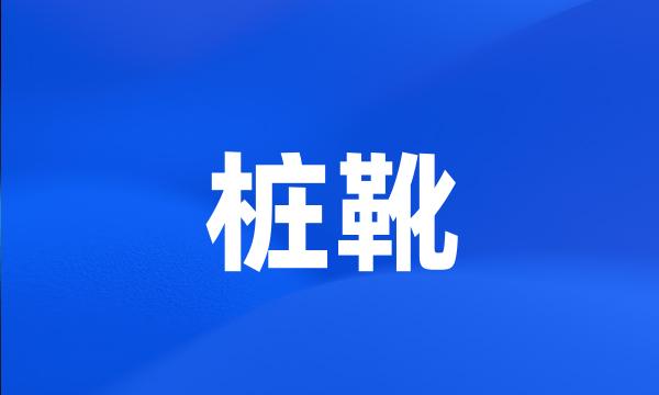 桩靴