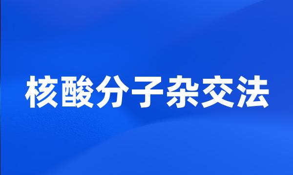 核酸分子杂交法