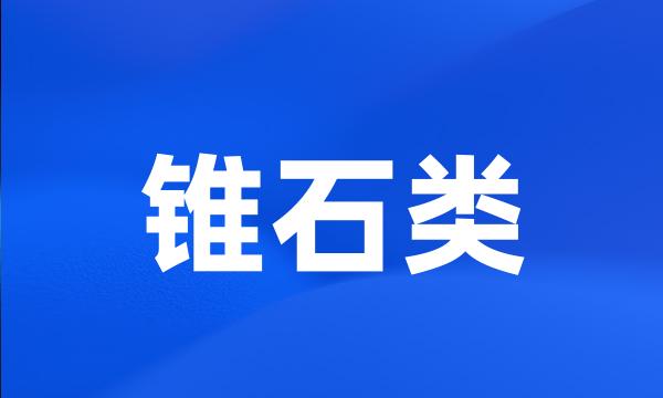 锥石类