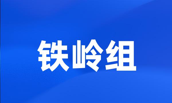 铁岭组