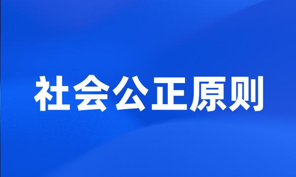 社会公正原则