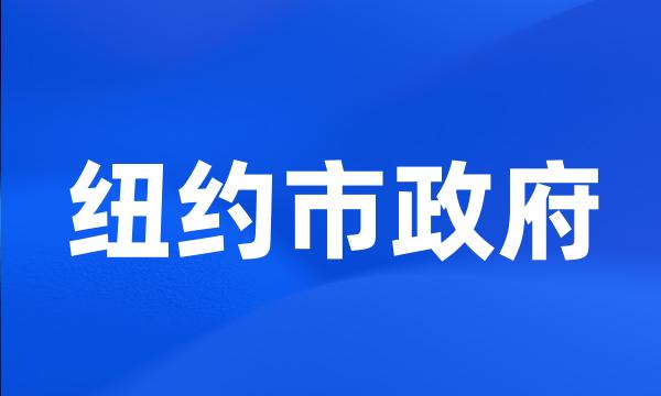 纽约市政府