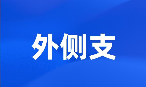 外侧支