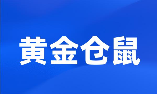 黄金仓鼠