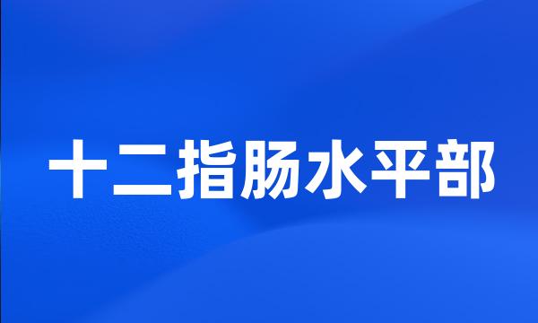 十二指肠水平部