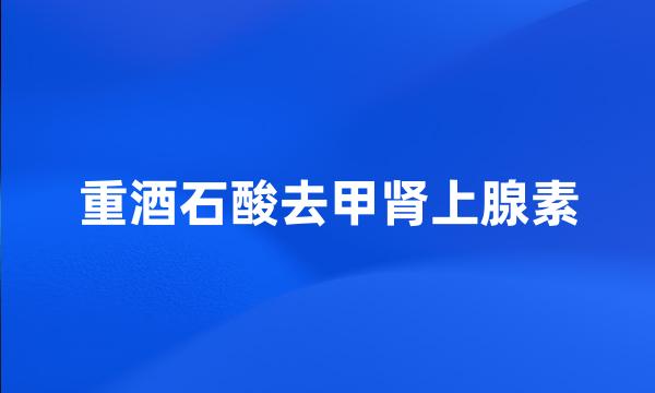 重酒石酸去甲肾上腺素