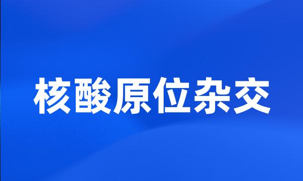 核酸原位杂交