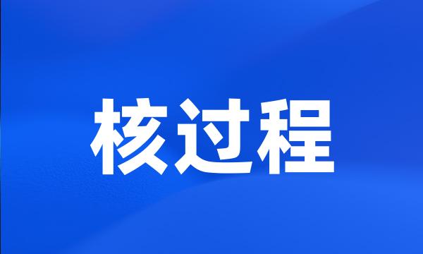 核过程