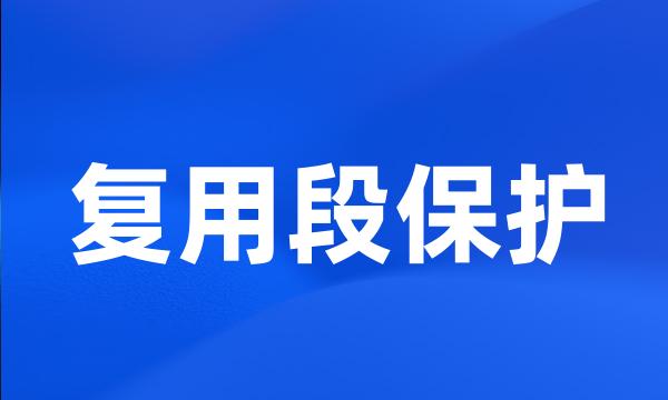 复用段保护