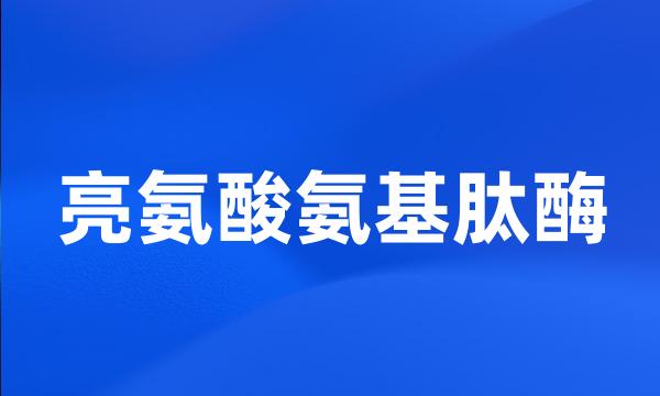 亮氨酸氨基肽酶