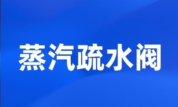 蒸汽疏水阀