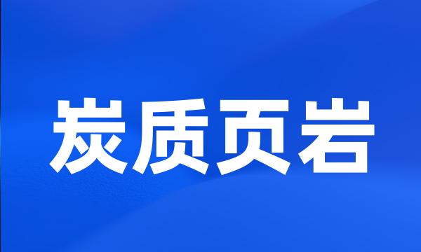 炭质页岩