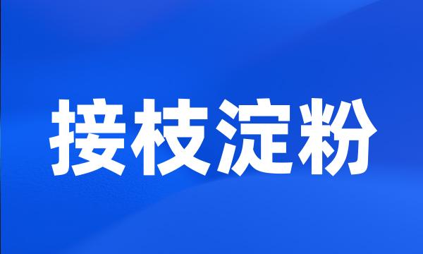 接枝淀粉