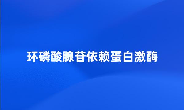 环磷酸腺苷依赖蛋白激酶