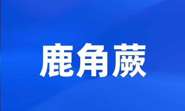 鹿角蕨