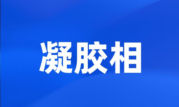 凝胶相