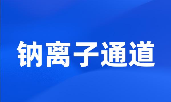 钠离子通道