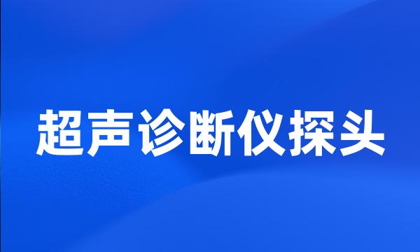 超声诊断仪探头