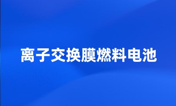 离子交换膜燃料电池