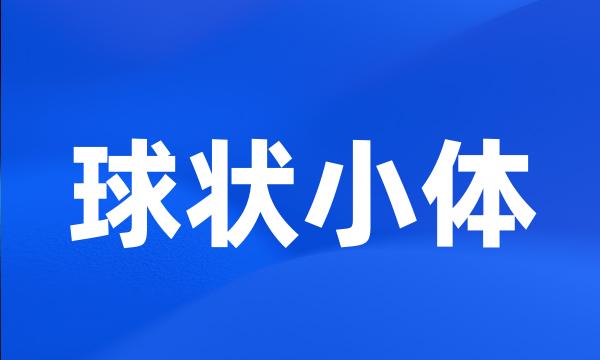 球状小体