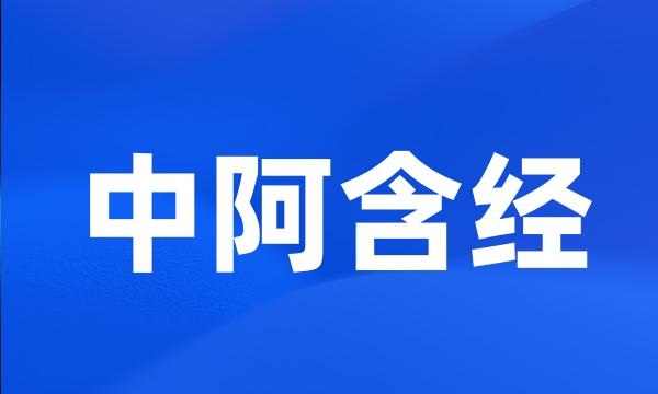 中阿含经