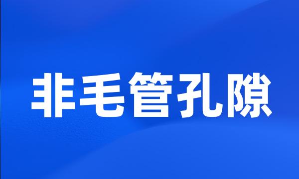 非毛管孔隙