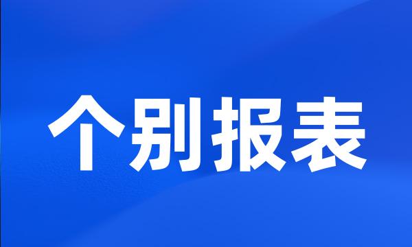 个别报表