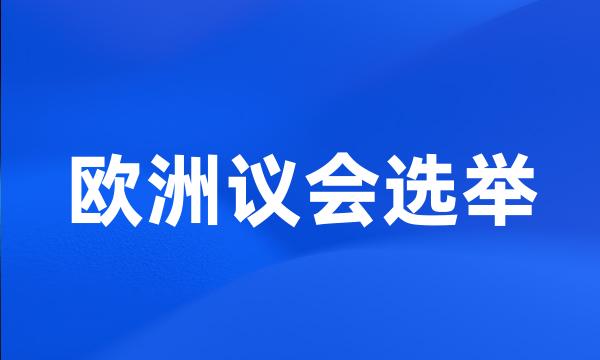 欧洲议会选举