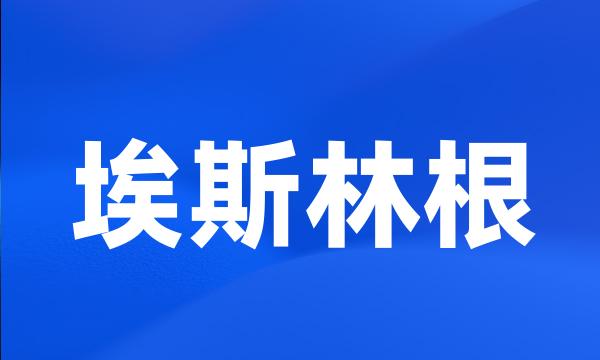 埃斯林根