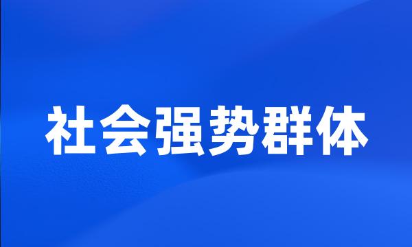 社会强势群体