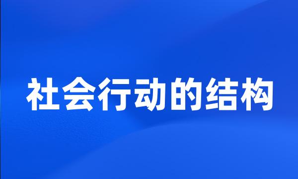 社会行动的结构