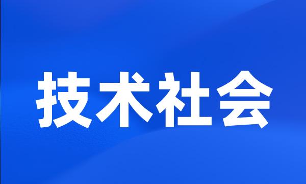 技术社会