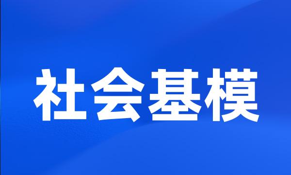 社会基模