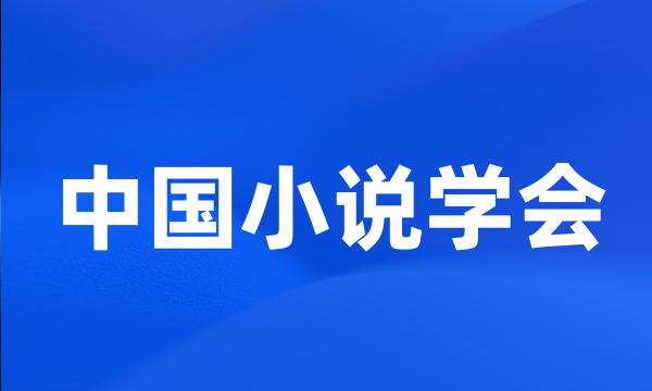 中国小说学会