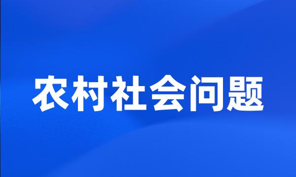 农村社会问题