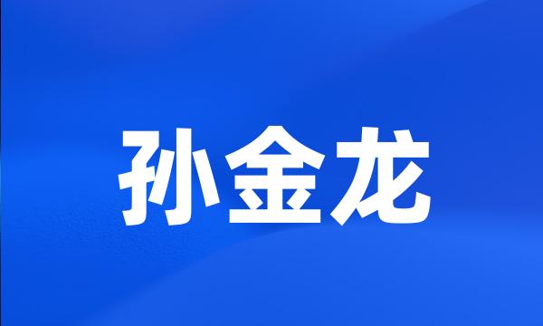 孙金龙